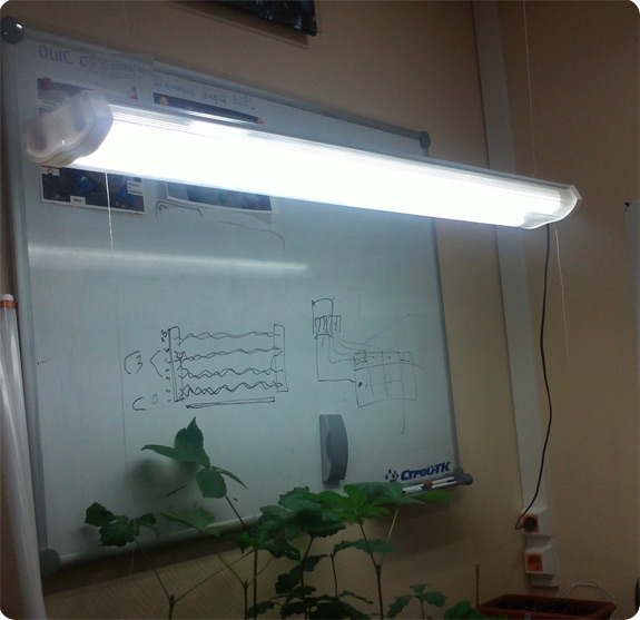 Как переделать светильник дневного света под светодиодные лампы?